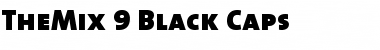 TheMix Black Font