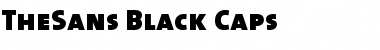 Download The Sans Black- Font
