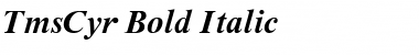 TmsCyr Bold Italic