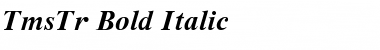 TmsTr Bold Italic