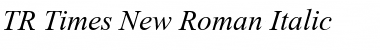 TR Times New Roman Italic