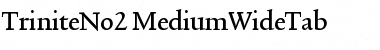 TriniteNo2 Medium Font
