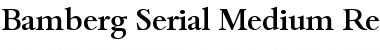 Bamberg-Serial-Medium Regular Font