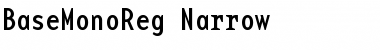 BaseMonoReg-Narrow Roman Font