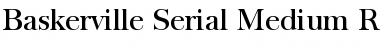 Baskerville-Serial-Medium Font