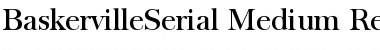 BaskervilleSerial-Medium Font