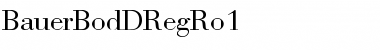 BauerBodDRegRo1 Regular Font