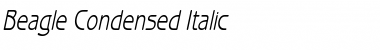Beagle Condensed Italic
