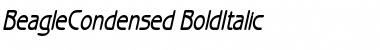 BeagleCondensed BoldItalic Font