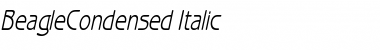 BeagleCondensed Italic