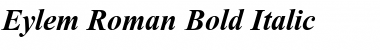 Eylem  Roman Bold Italic Font