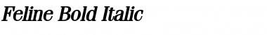 Feline Bold Italic