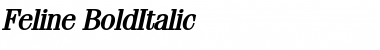 Feline BoldItalic Font