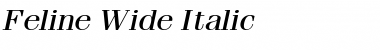 Feline Wide Italic Font