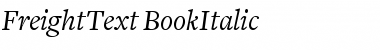 FreightText BookItalic Font