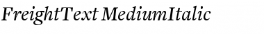 FreightText MediumItalic Font