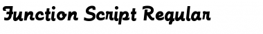 Function-Script Regular Font