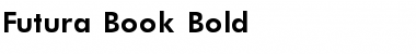 Futura_Book-Bold Font