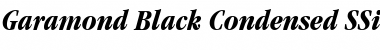 Garamond Black Condensed SSi Bold Condensed Italic Font