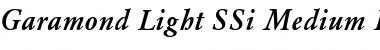 Garamond Light SSi Medium Italic