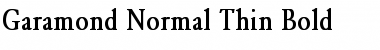Garamond-Normal Thin Bold
