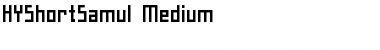 HYShortSamul-Medium Font