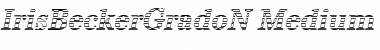 IrisBeckerGradoN-Medium Italic Font