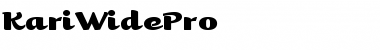 Kari Wide Pro Regular Font