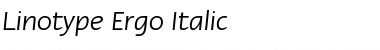 LTErgo Italic Font