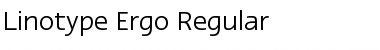 LTErgo Regular Font