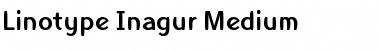 LTInagur Medium Font