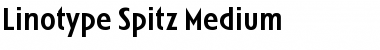 LTSpitz Medium Font