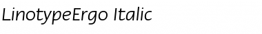 LTErgo Italic Font