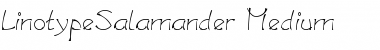 LTSalamander Medium Font