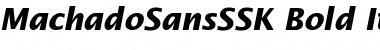 Download MachadoSansSSK Font