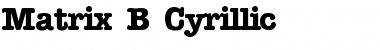 Matrix B_ Cyrillic Font