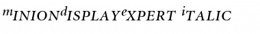 MinionDisplayExpert RomanItalic Font