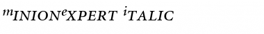 MinionExpert RomanItalic Font