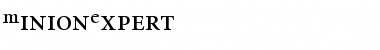 MinionExpert Roman Font