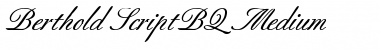 Berthold Script BQ Font