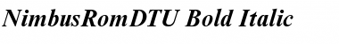 NimbusRomDTU Bold Italic