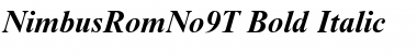 NimbusRomNo9T Bold Italic