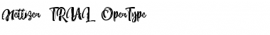 Nettizen Script_TRIAL Regular Font