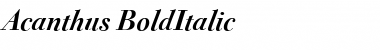 Acanthus Italic Font