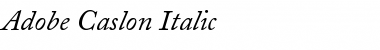 ACaslon Regular Italic