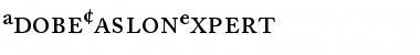 AdobeCaslonExpert Roman Font