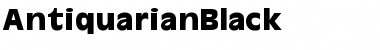 AntiquarianBlack Font