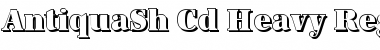 AntiquaSh-Cd-Heavy Regular Font