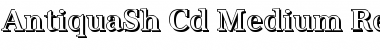 AntiquaSh-Cd-Medium Font