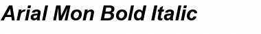 Arial Mon Bold Italic